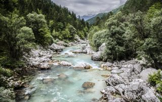 Beautiful green nature with river.